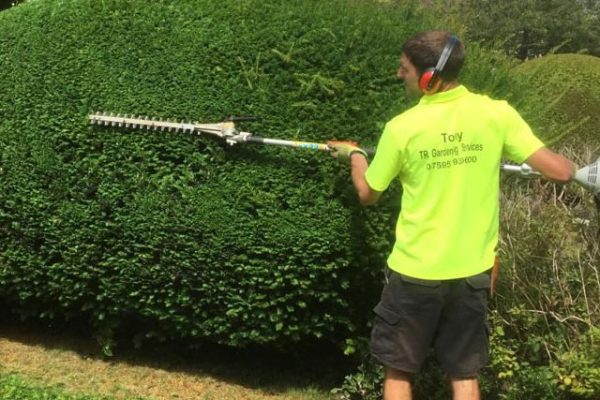 gardener-orpington